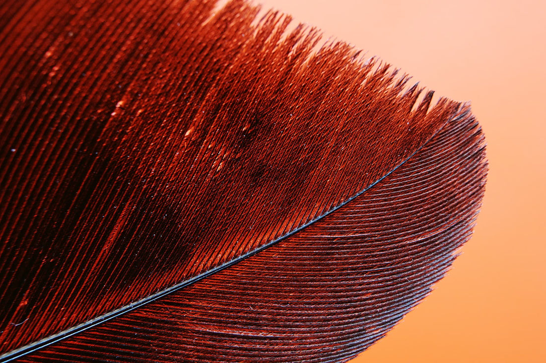 The finer details