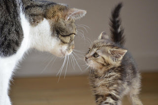 Big and small