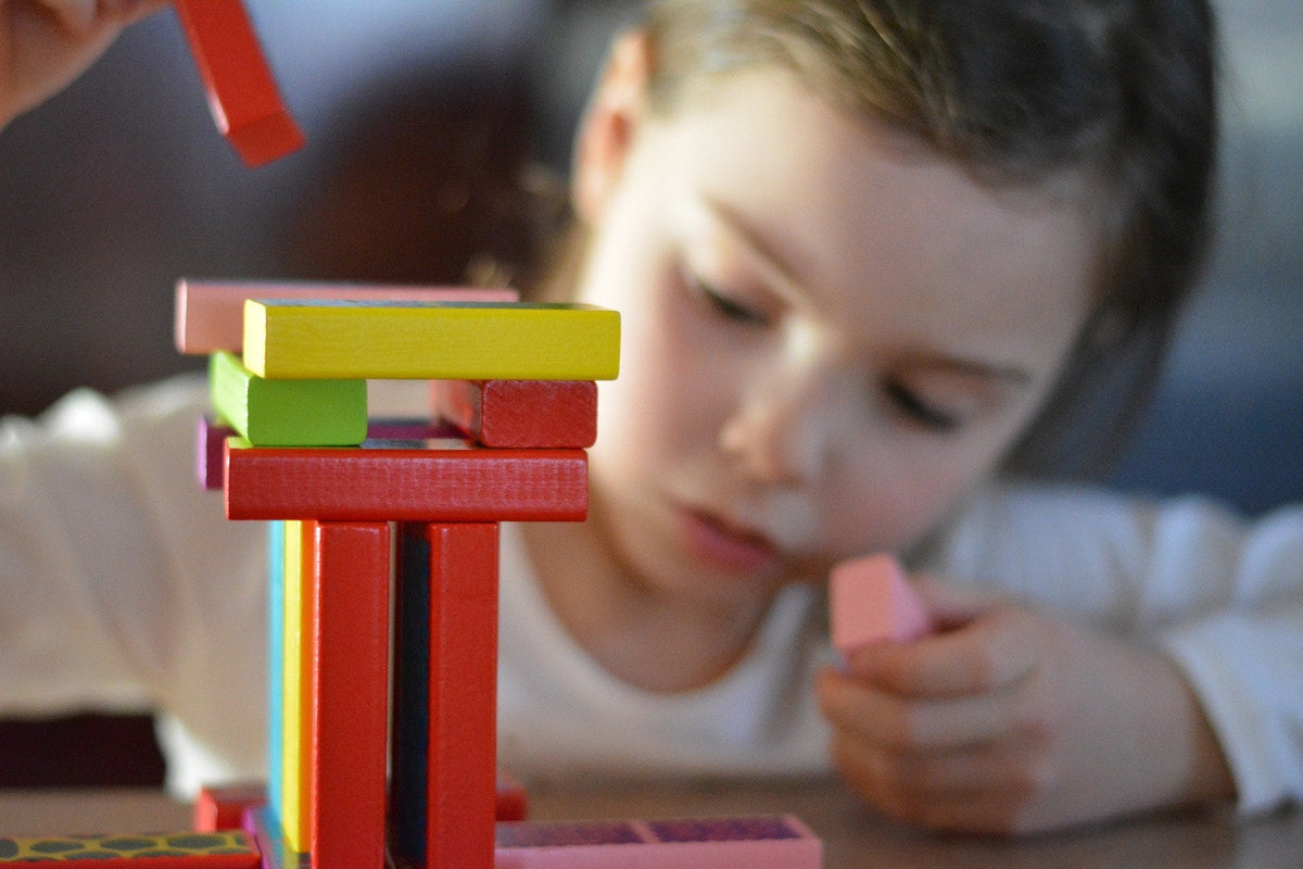 Terminology Building Blocks