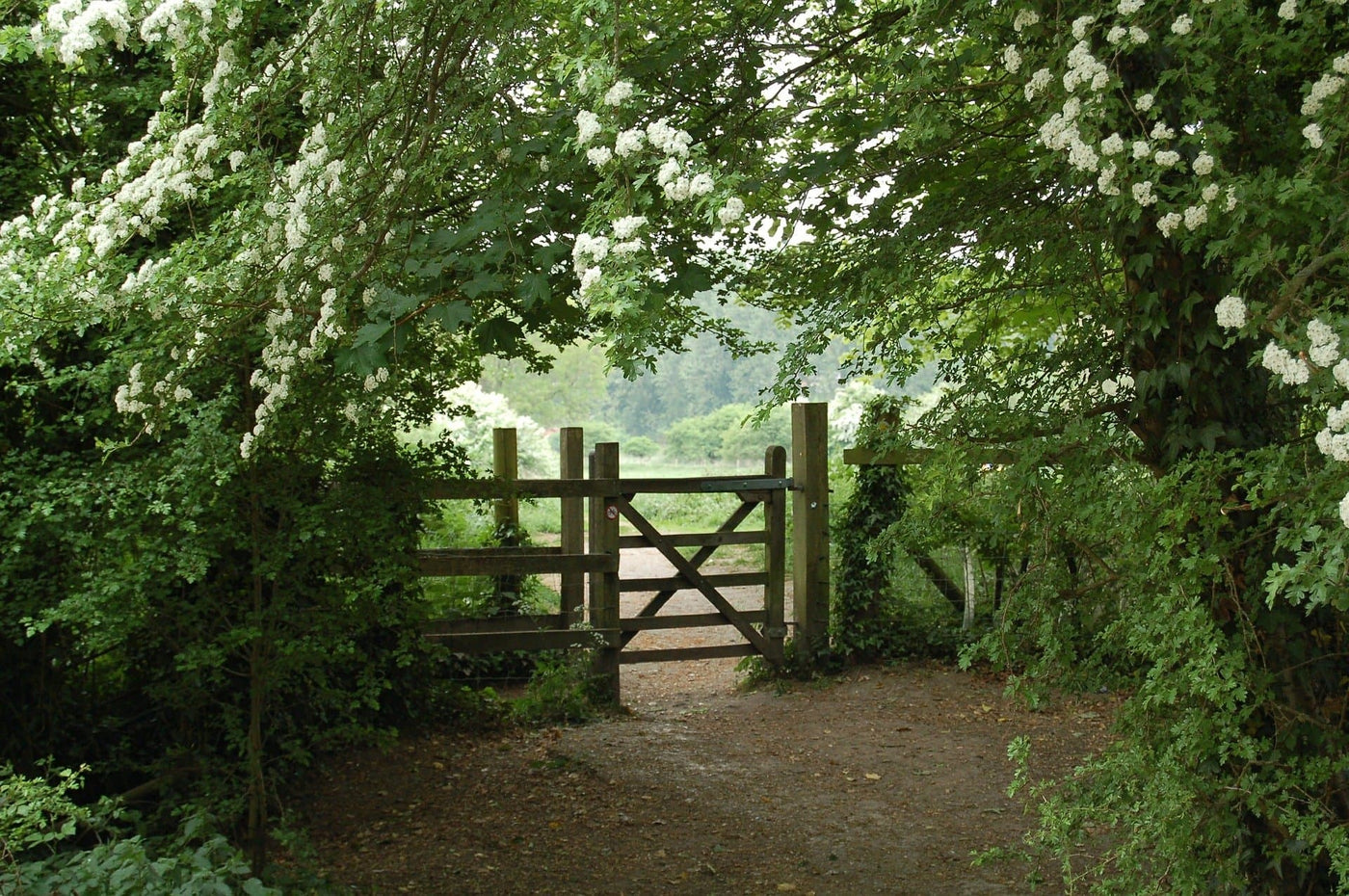 The pass through chain