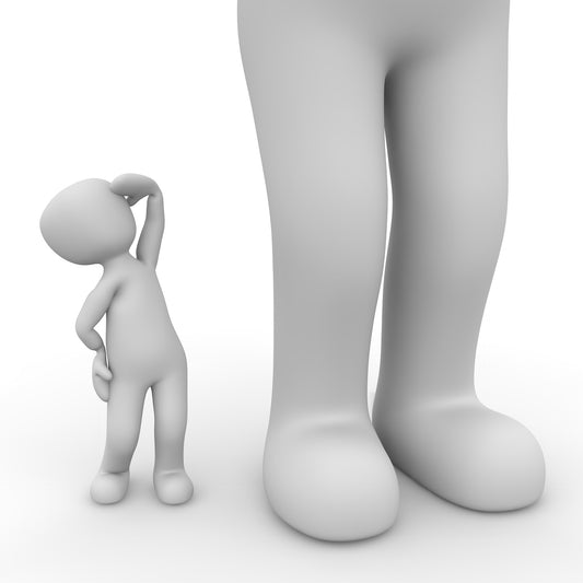 Small woofers vs  big woofers