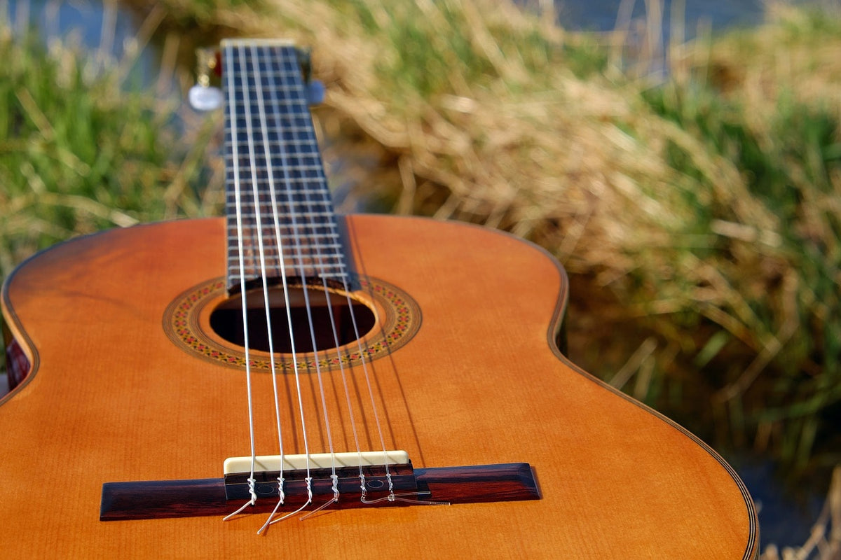 Harmonic riches