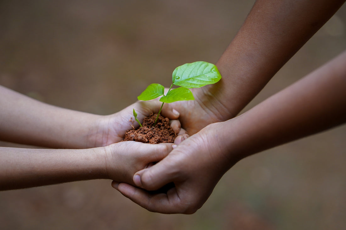 The art of sharing