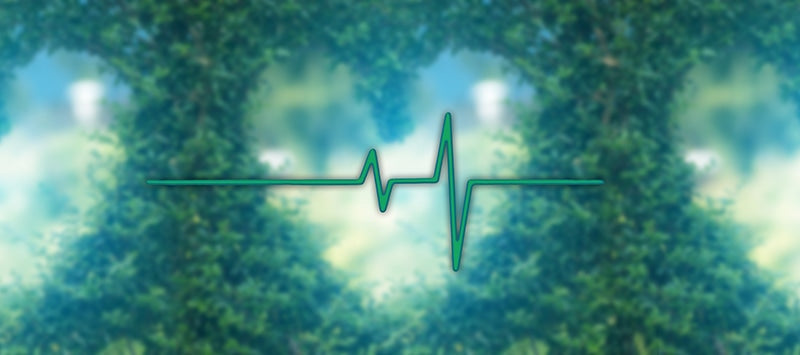 Taking Control: A Personal Journey