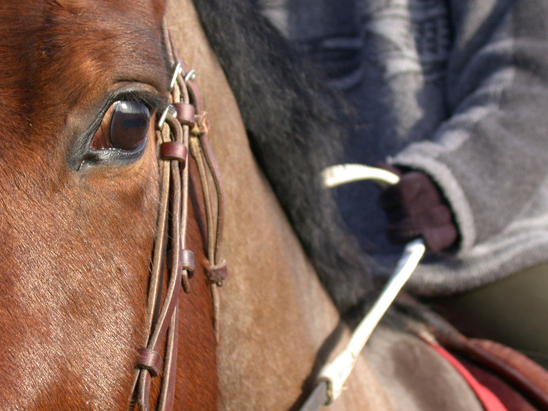 Handing over the reins