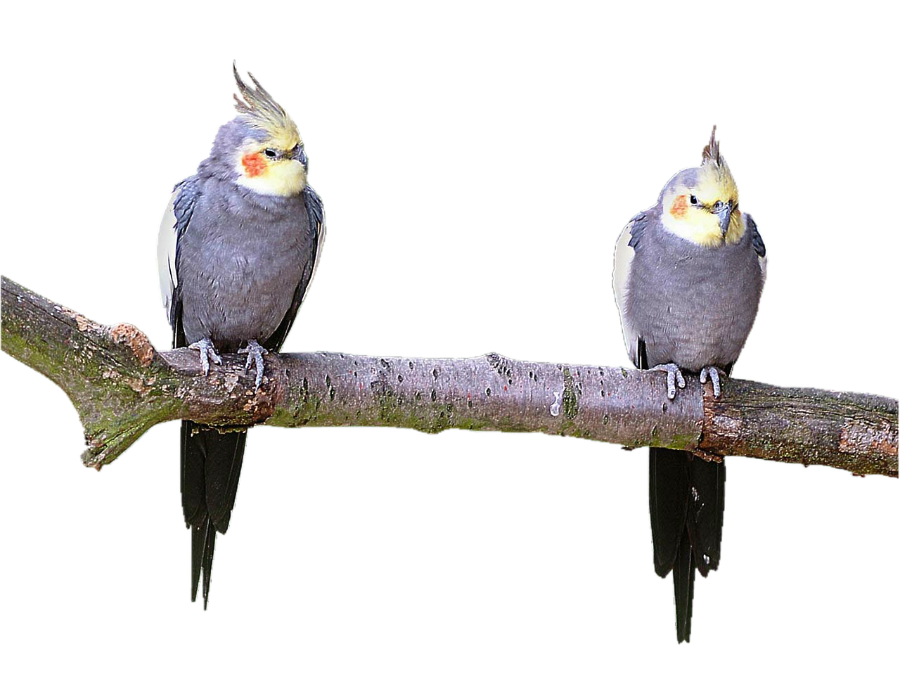 Why less isn't always more