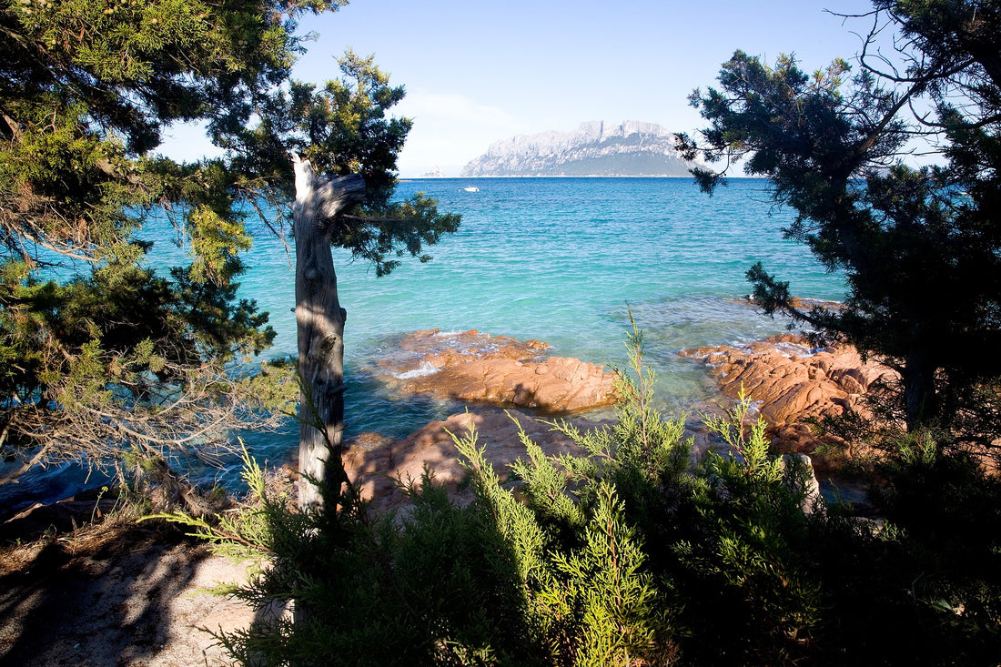 Mediterranean Coast, Sardinia