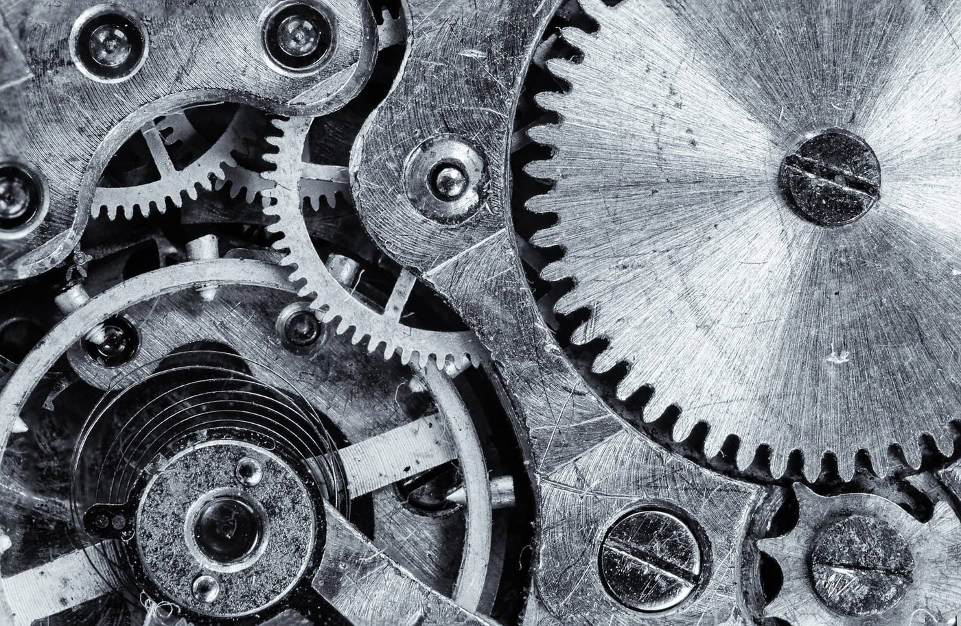 The meaning of analog
