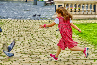 The chase