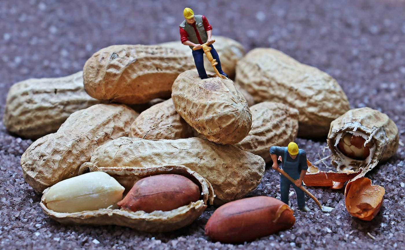 Gluten free peanuts