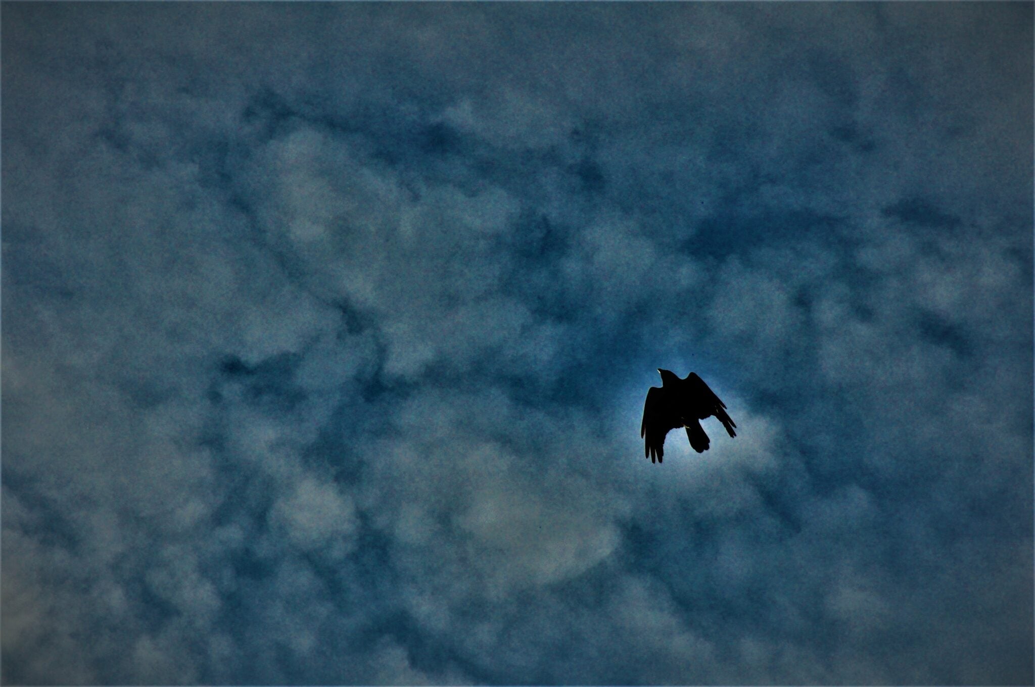 Song of the Nightingale