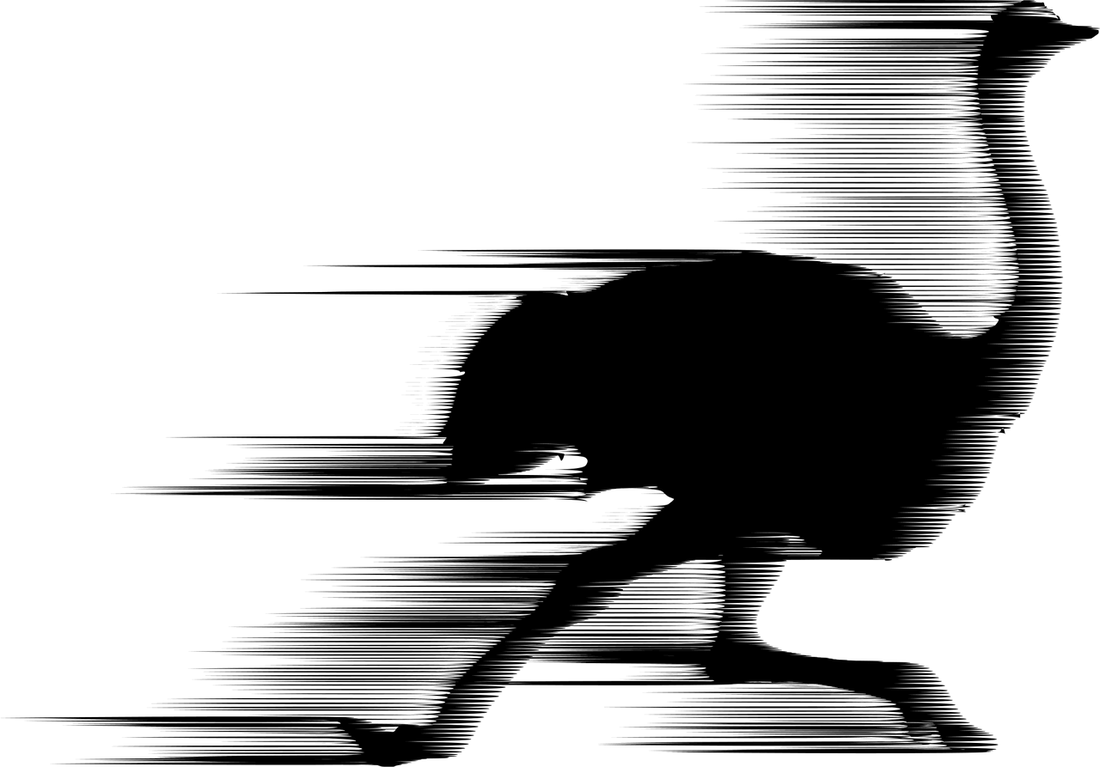 The truth of transients