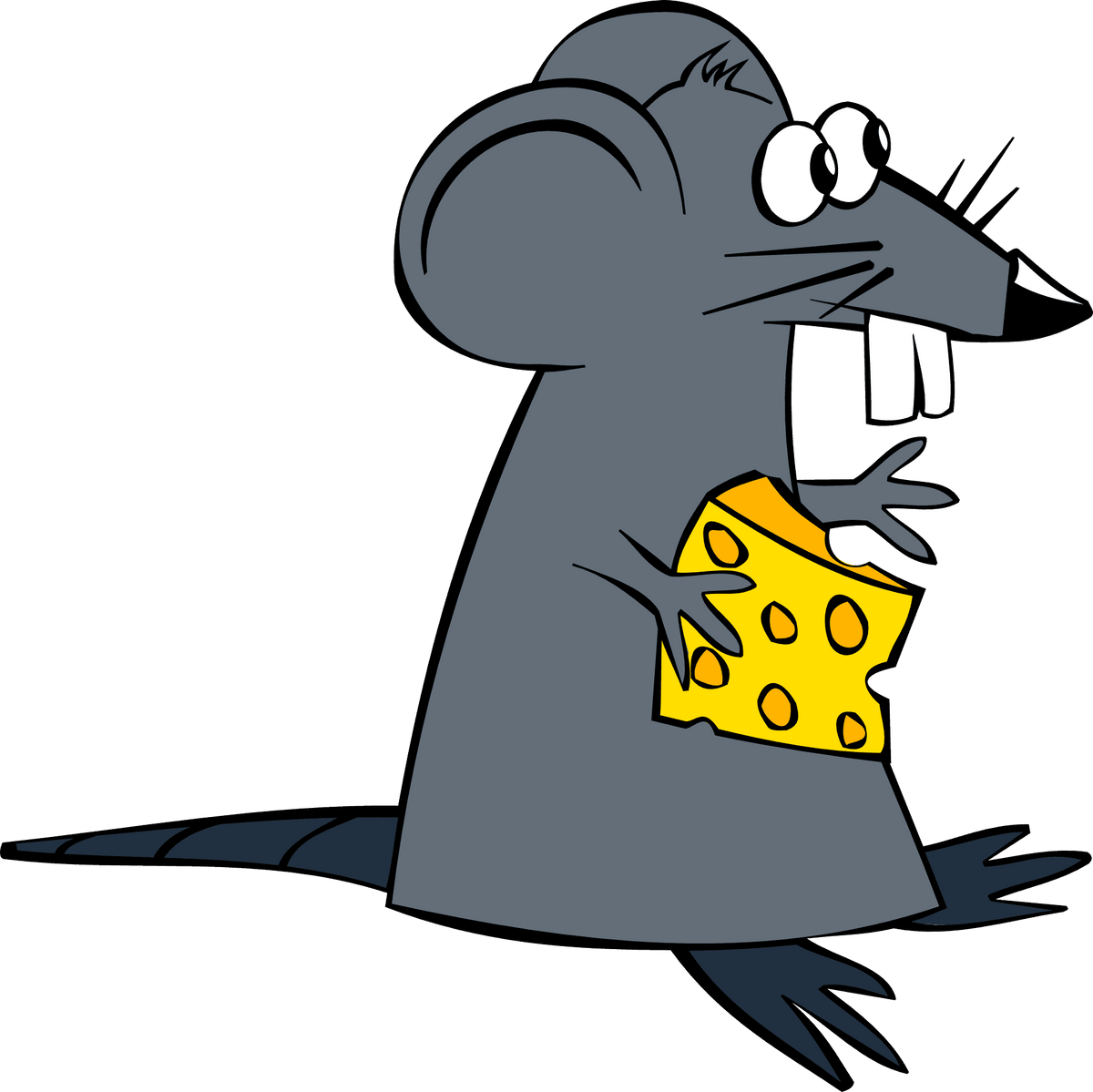 Swiss Cheese