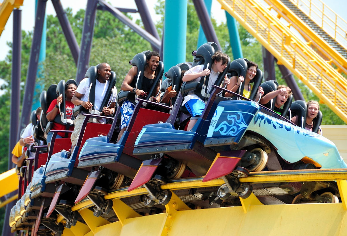 Audiophile rollercoaster