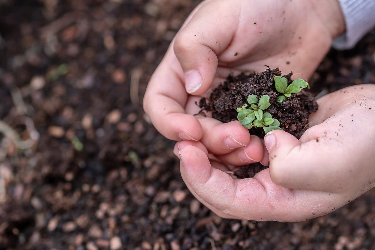 Seeds of change