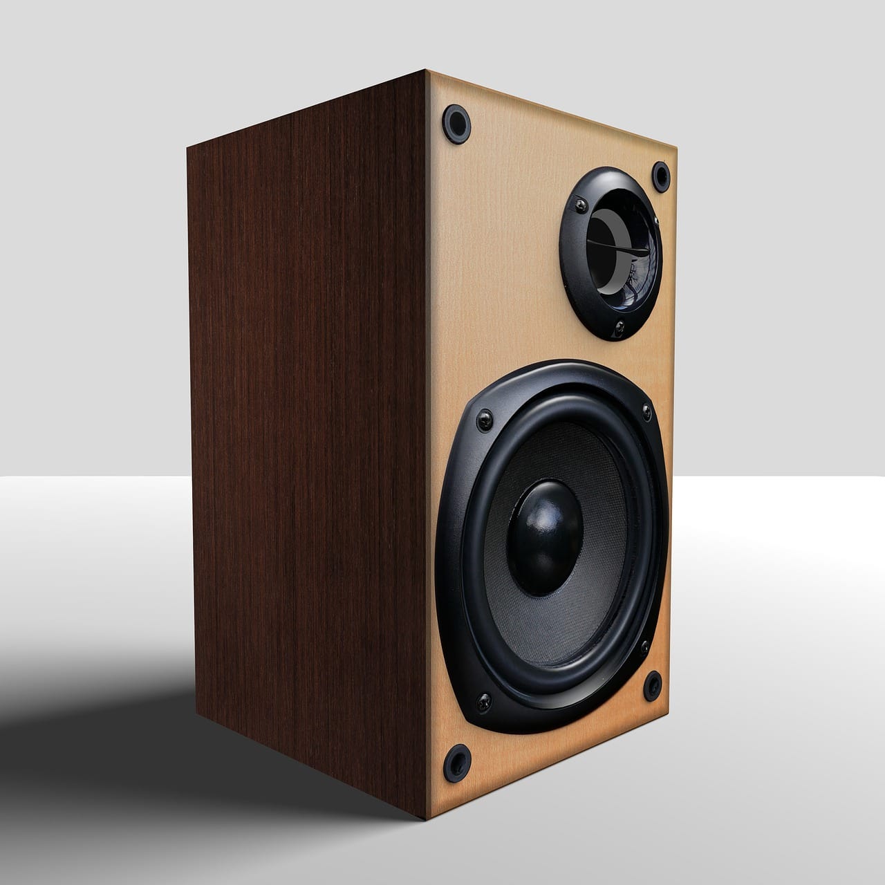 Resolving speakers