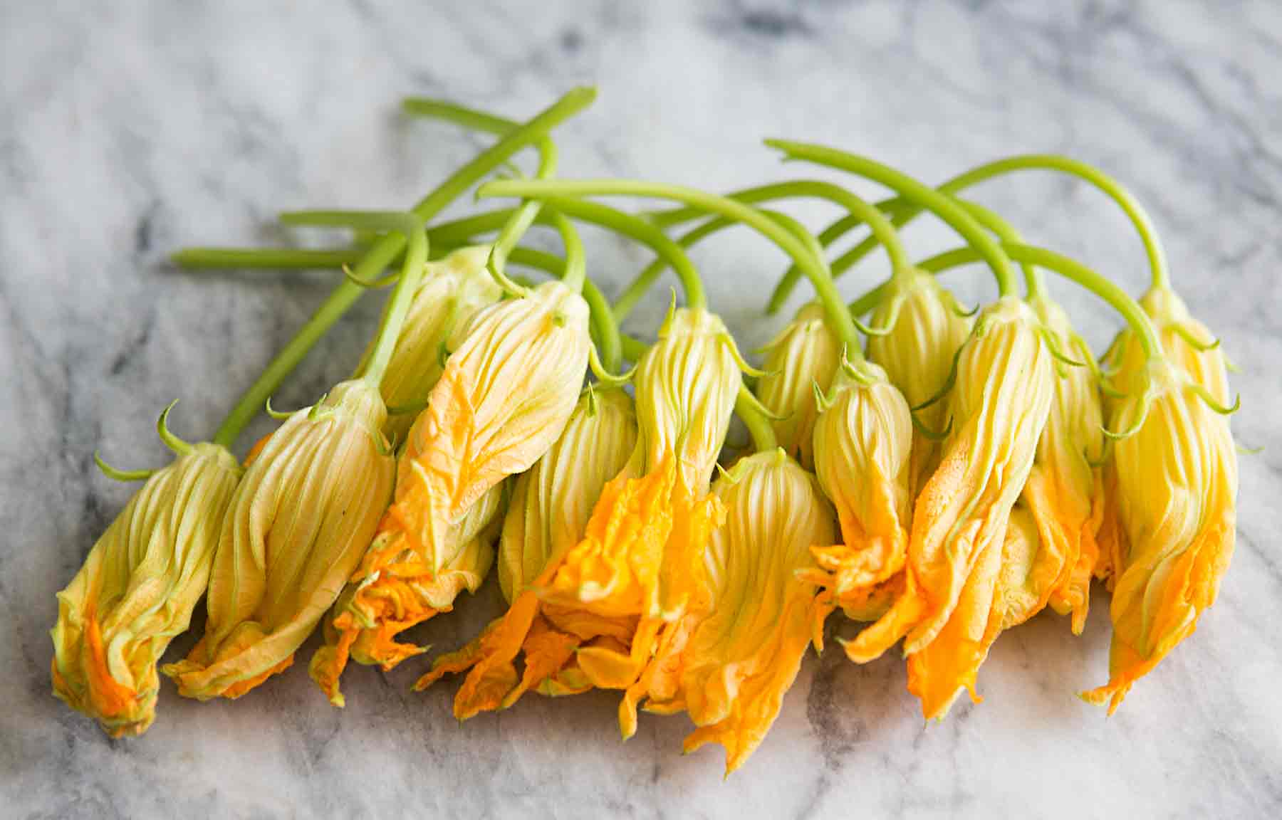 The squash blossom conundrum