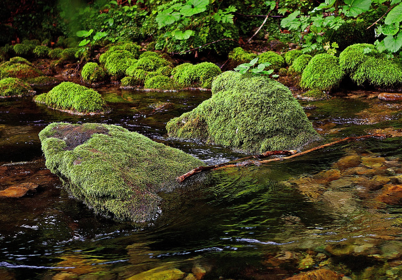 Clarity