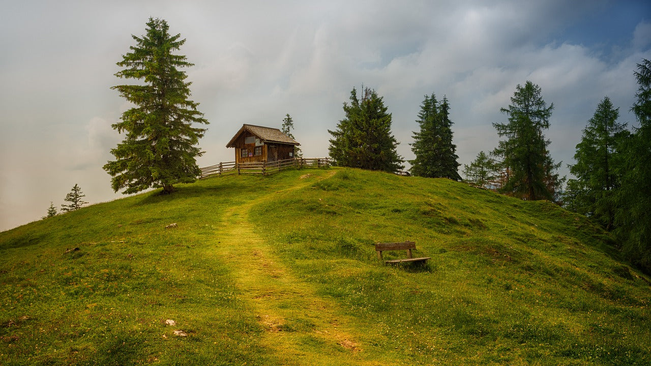 The paths we take
