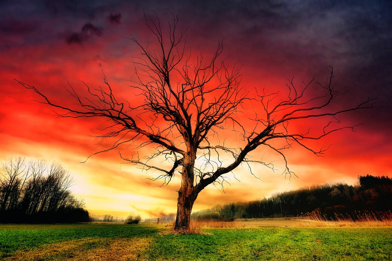 Magical moments