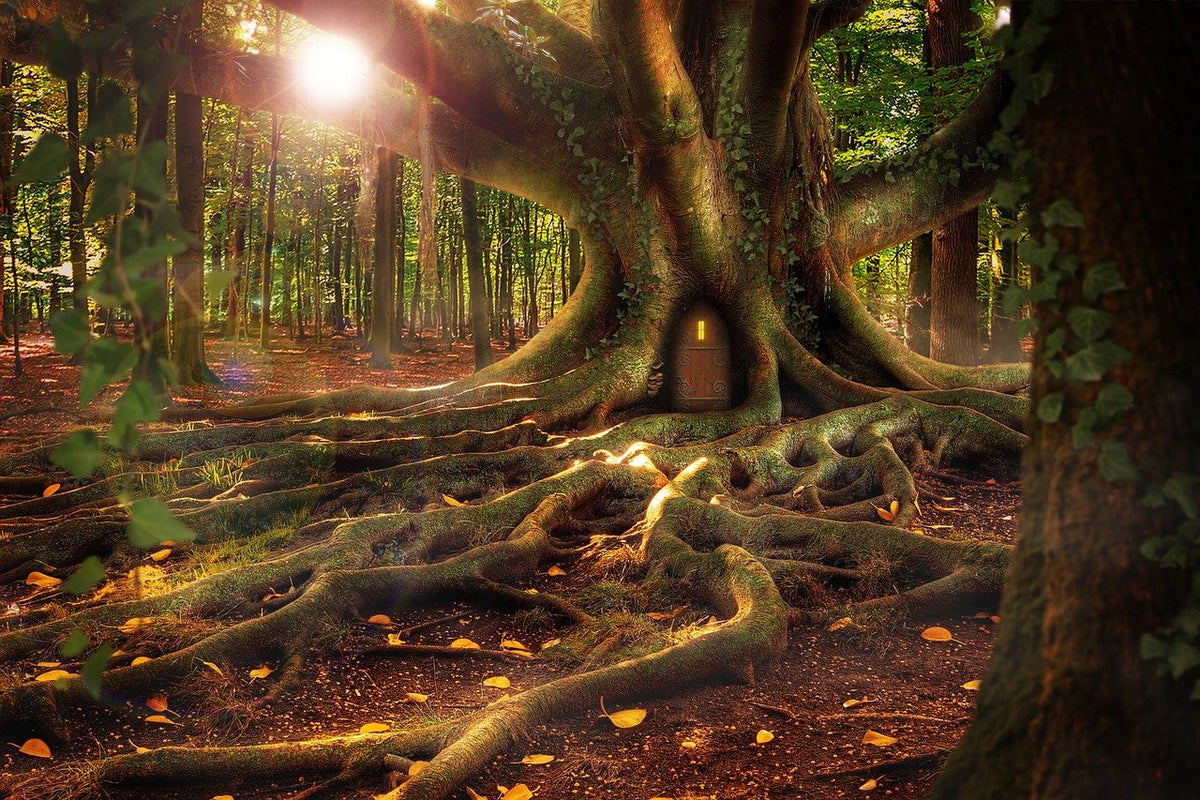 Fantasy system