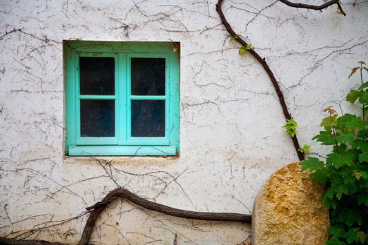 Vine and Window