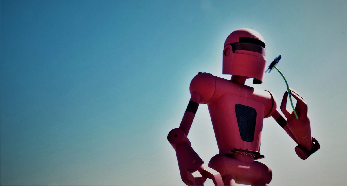 The Pink Robot Welcomes You
