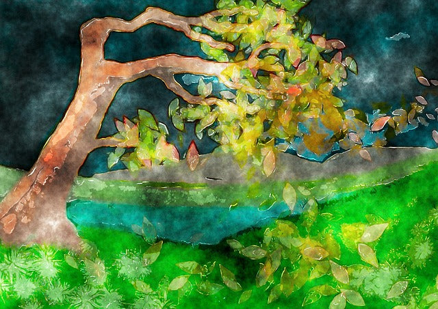 If a tree falls…