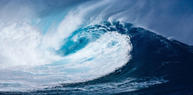 Riding the wave