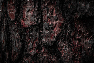 Textures