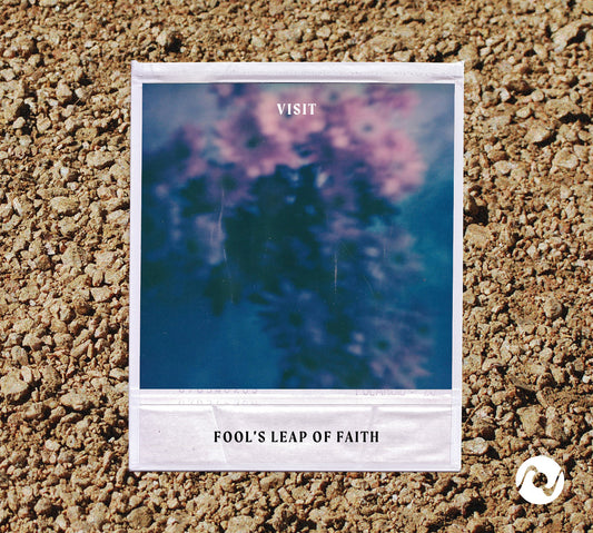 A Fool's Leap of Faith