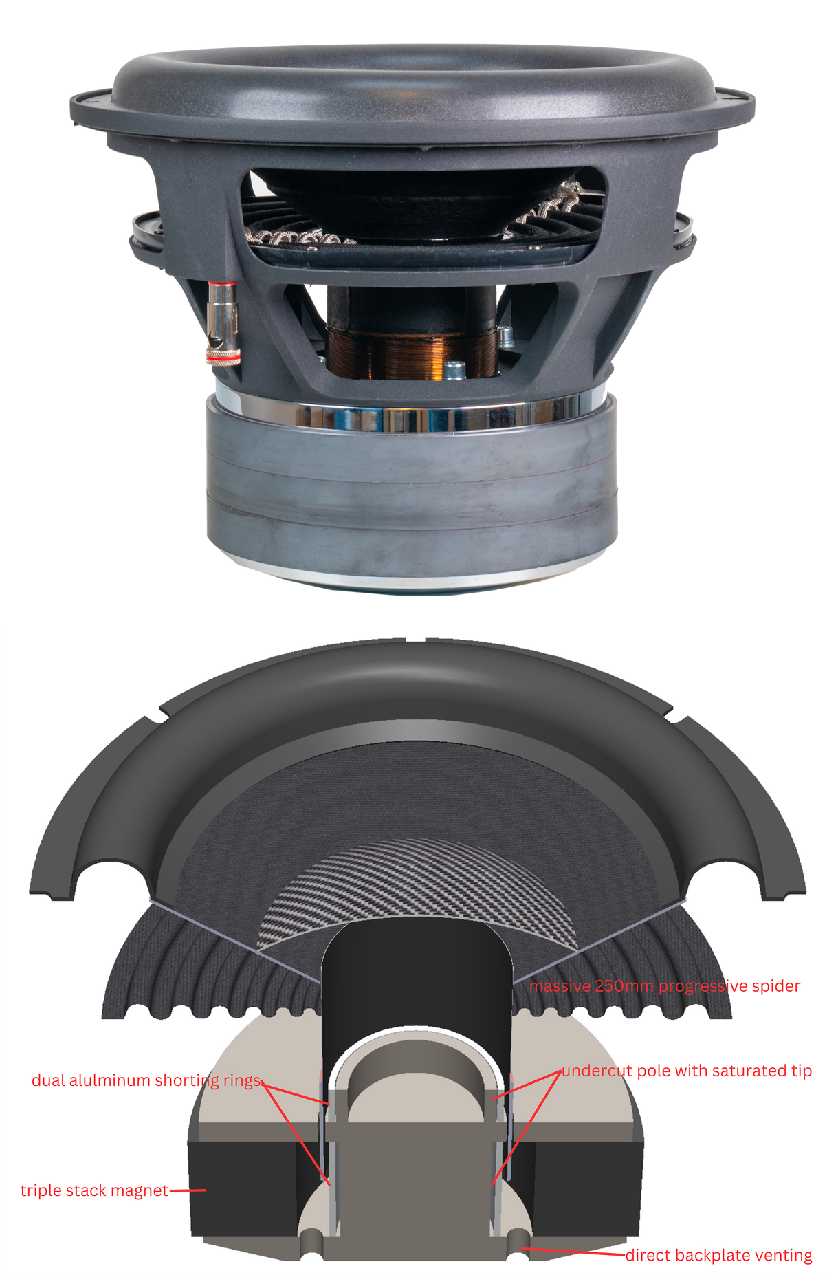PS Audio Foundry 12