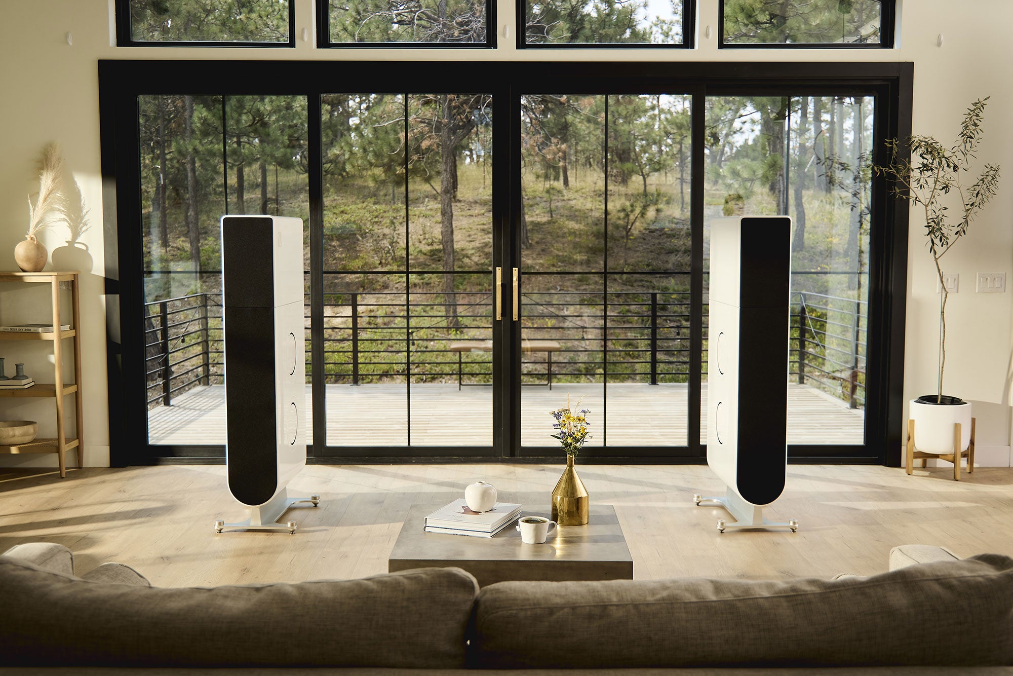 Aspen FR30 Loudspeaker