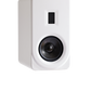 Satin White Pair Without Stands