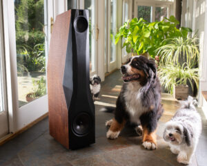 When the speakers sound right, the whole family likes it! Courtesy of Eikon Audio.