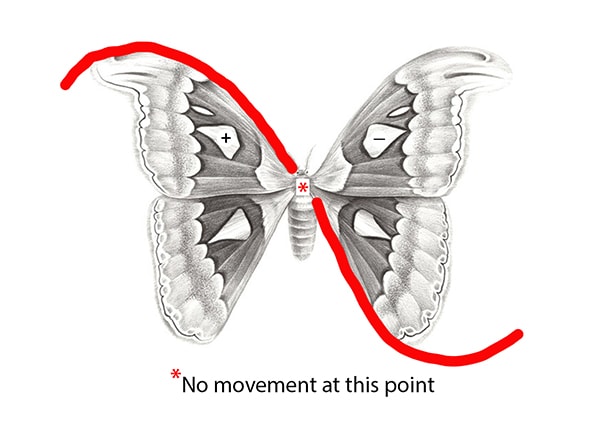 Illustration of the "Audio Butterfly Effect" with caption, "No movement at this point."