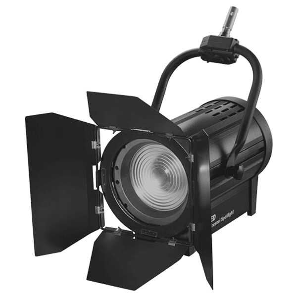 Fresnel fixed hanging light with barn doors.