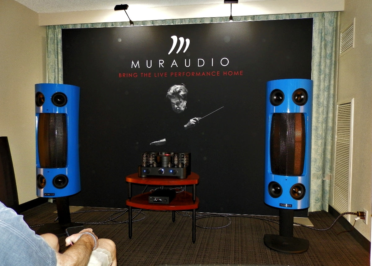Muraudio's SP1's are outstanding electrostatic loudspeakers with excellent dispersion and imaging.