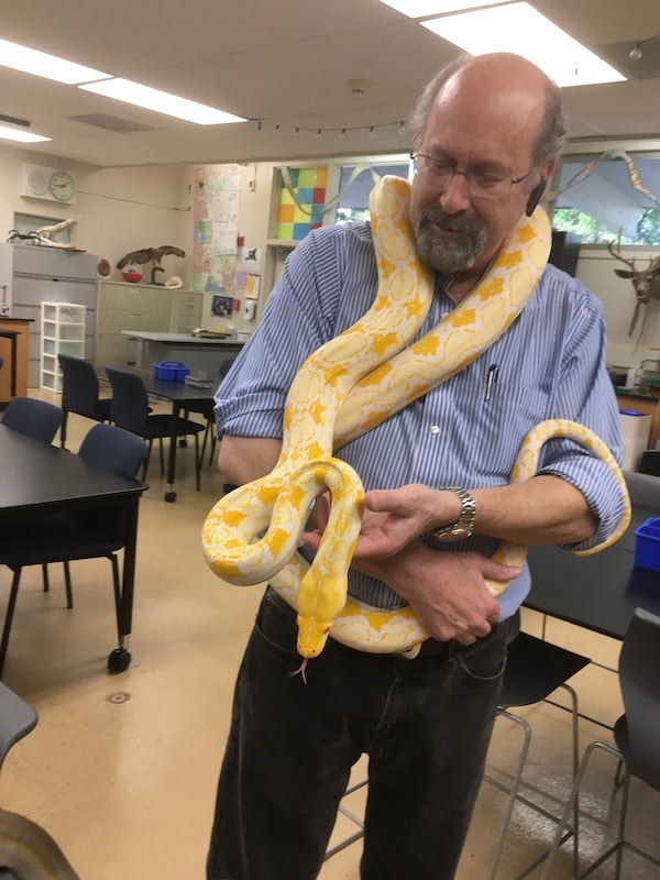 I never outgrew my fondness for snakes, but they may have outgrown me! This is a Burmese python in a classroom wildlife center.