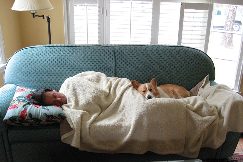 Steve and Teddy guard the house.