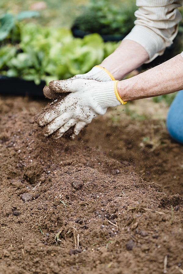 Dirt in the garden is better than dirt in the grooves. Courtesy of Pexels.com/Greta Hoffman.
